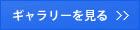 ギャラリーを見る