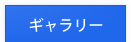 ギャラリー